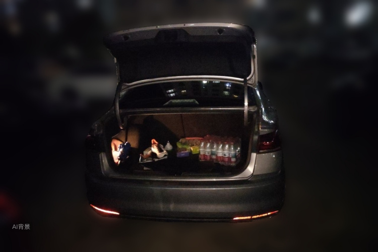 Volkswagen Bora 2021 #21 Volkswagen Bora 2021 imagen de coche #21