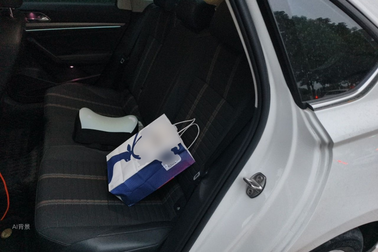 Volkswagen Lavida 2021 car image #19