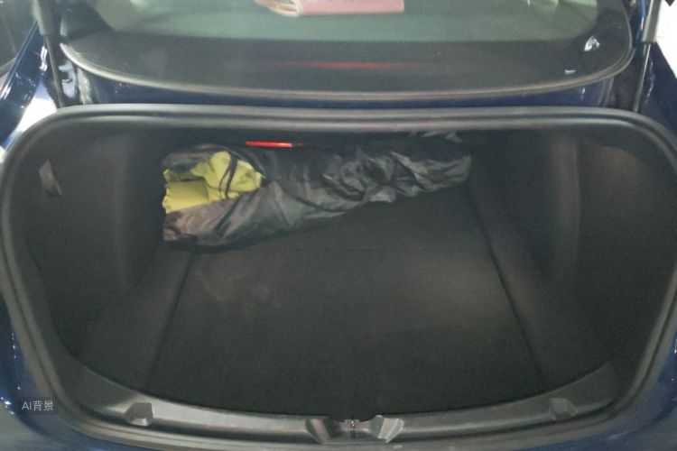 Tesla Model 3 2020 #21 Tesla Model 3 2020 car image #21