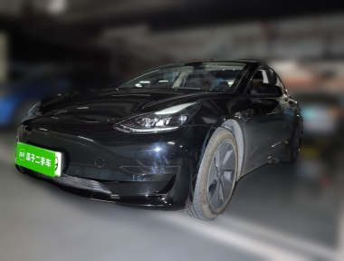 Tesla Model 3 2023 car image 