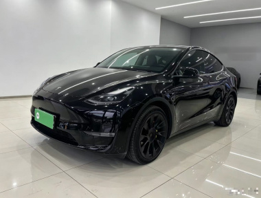 Tesla Model Y 2021 car image 