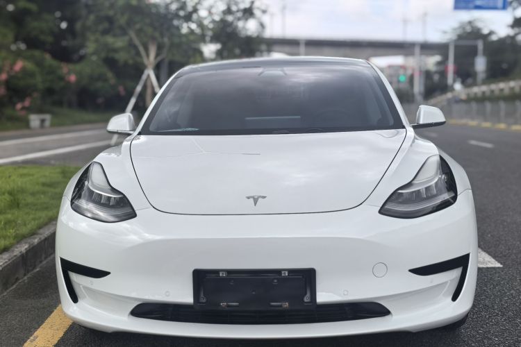Tesla Model 3 2020 #3 Tesla Model 3 2020 car image #3