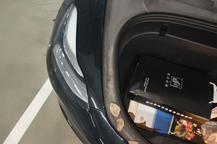 Tesla Model 3 2020 car image #26