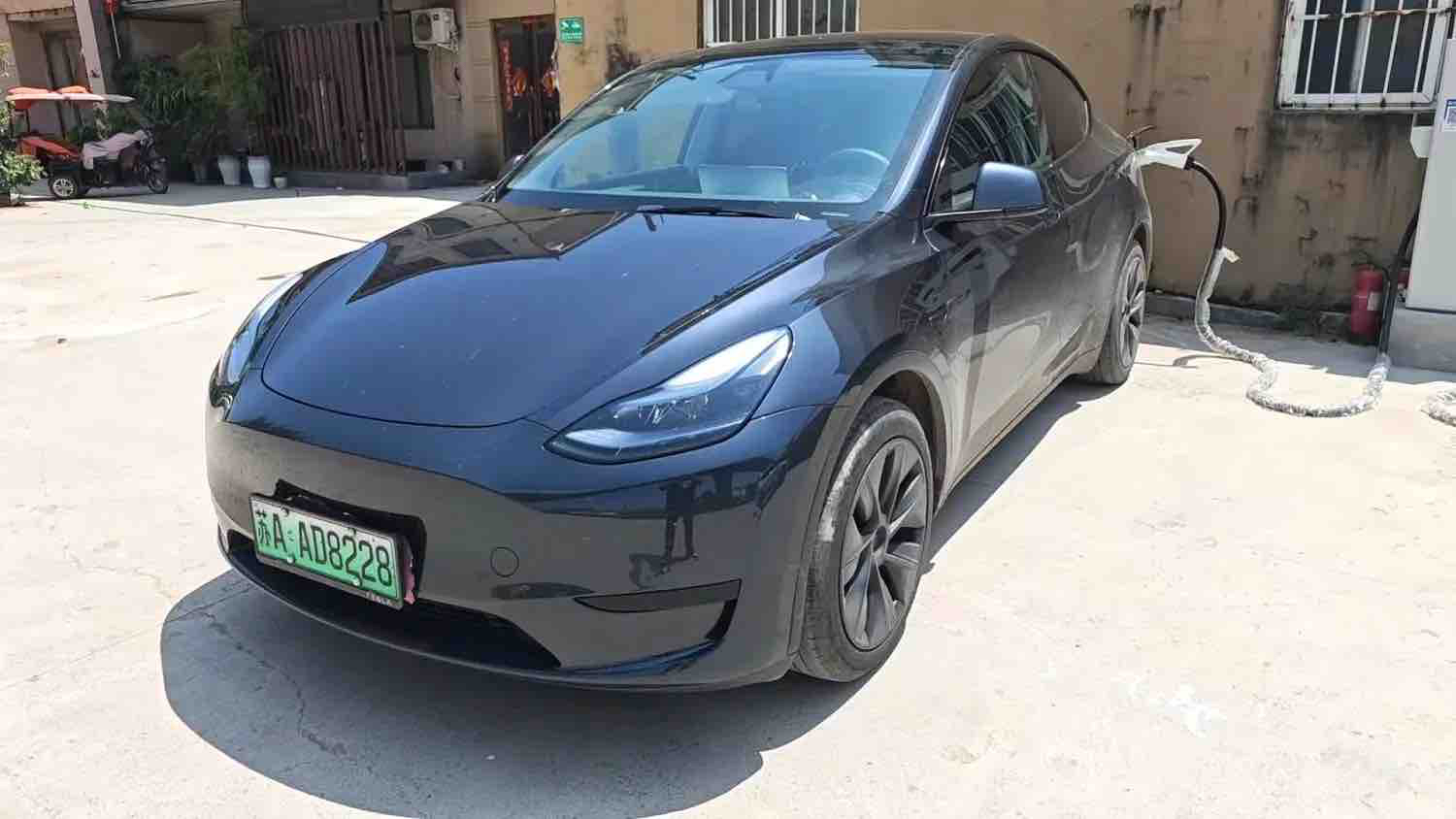 Tesla Model Y 2024 Tesla Model Y 2024 car image