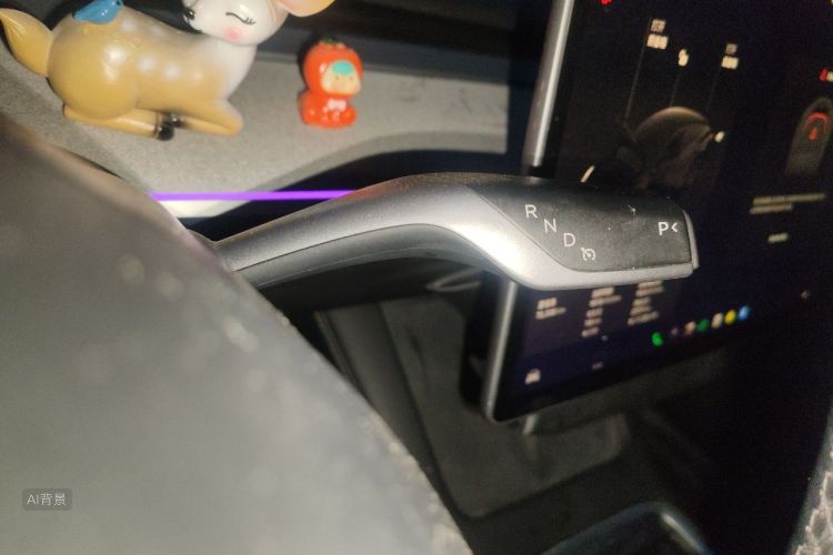 Tesla Model Y 2023 #16 Tesla Model Y 2023 car image #16