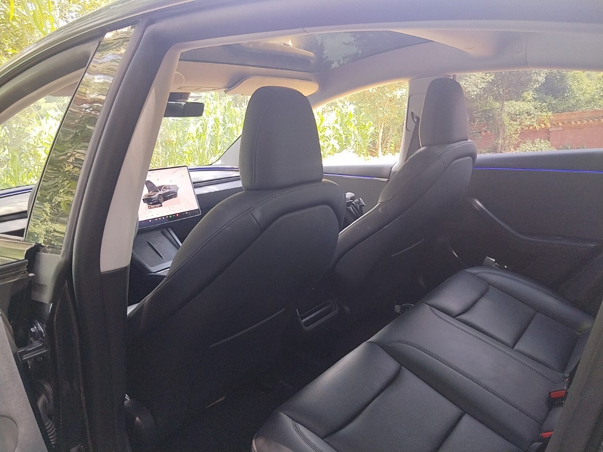 Tesla Model 3 2025 #6 Tesla Model 3 2025 car image #6