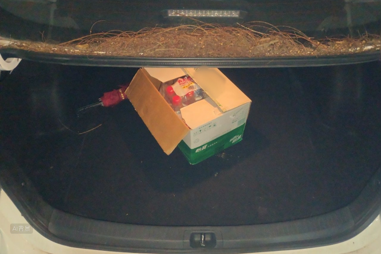 Toyota Corolla 2022 car image #21