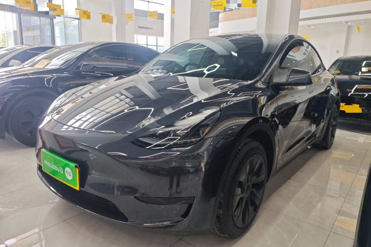 Tesla Model Y 2024 #2 Tesla Model Y 2024 car image #2
