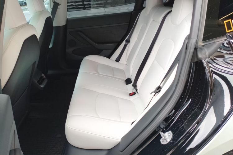 Tesla Model 3 2023 #17 Tesla Model 3 2023 car image #17