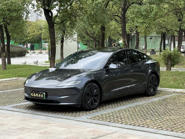 Tesla Model 3 2024 immagine di auto #20