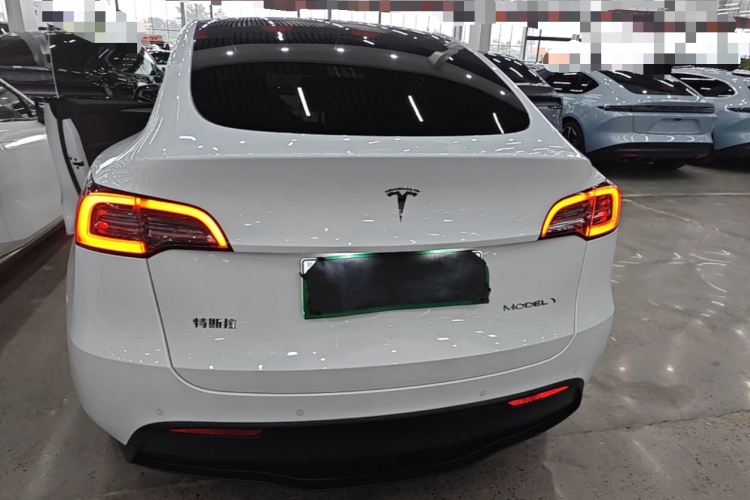 Tesla Model Y 2021 #6 Tesla Model Y 2021 car image #6