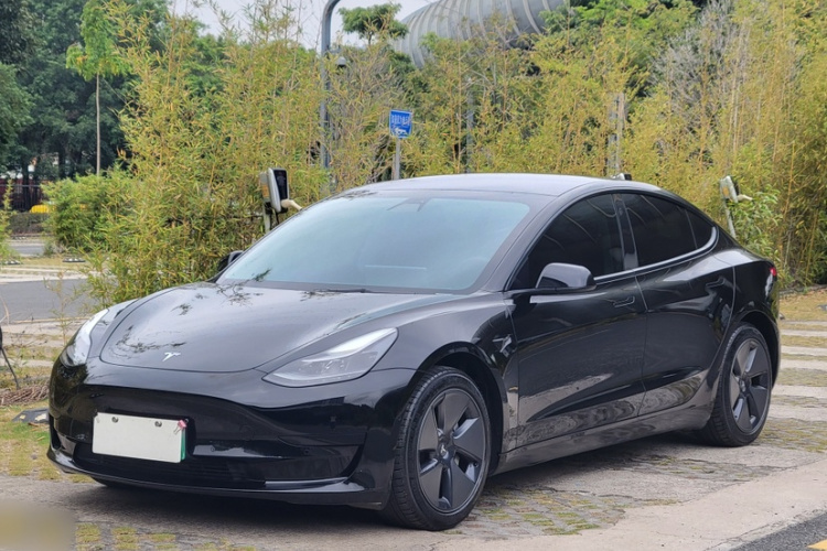 特斯拉 Model 3 2021 汽车图片 #2