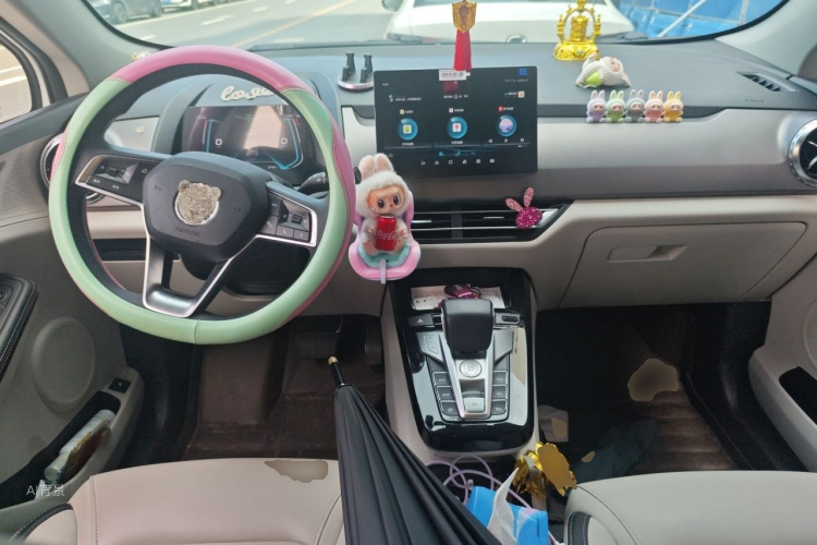 BYD Yuan Pro 2021 #11 BYD Yuan Pro 2021 صورة سيارة #11