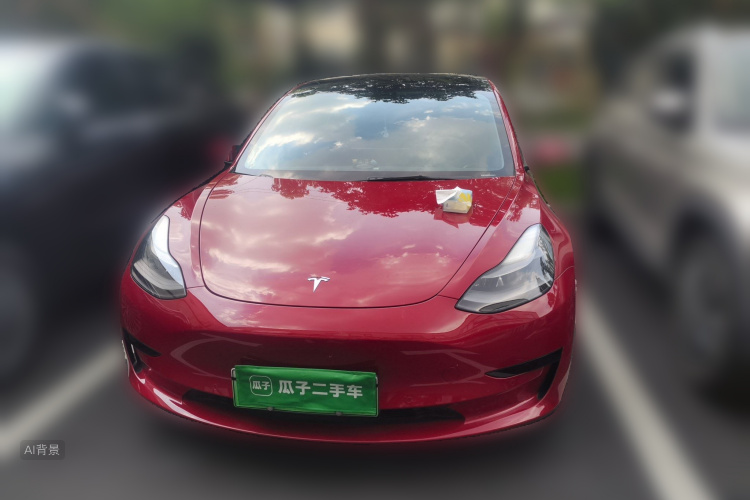Tesla Model 3 2021 #3 Tesla Model 3 2021 car image #3