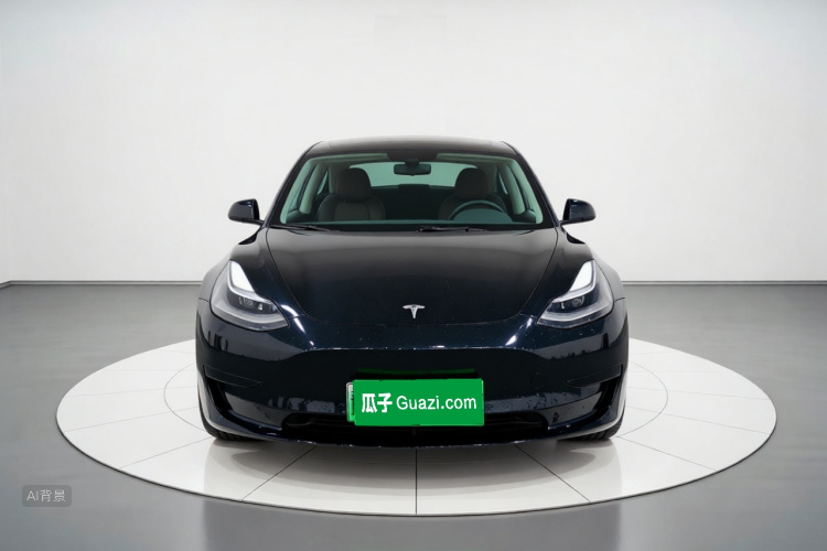Tesla Model 3 2021 #3 Tesla Model 3 2021 car image #3