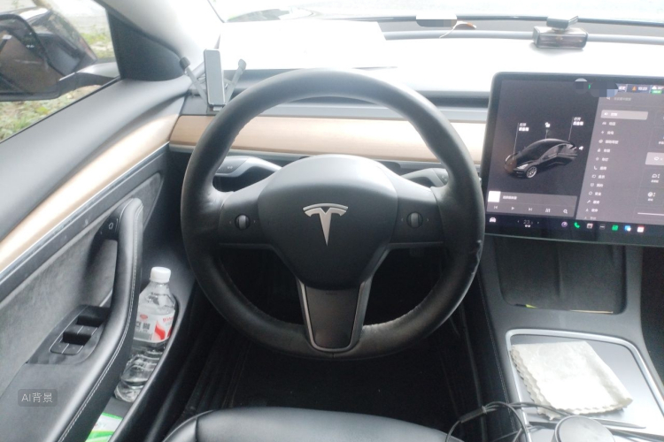 Tesla Model 3 2021 car image #12