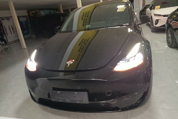 Tesla Model Y 2023 car image #3