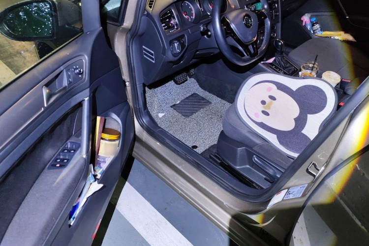 Volkswagen Golf 2015 car image #13