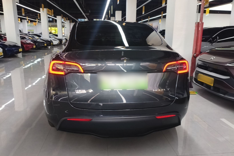 Tesla Model Y 2024 #6 Tesla Model Y 2024 car image #6