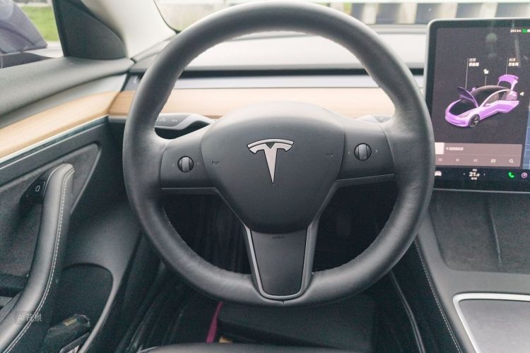 Tesla Model 3 2021 car image #12