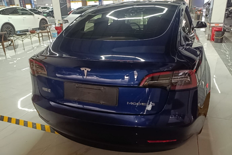 Tesla Model 3 2021 car image #6