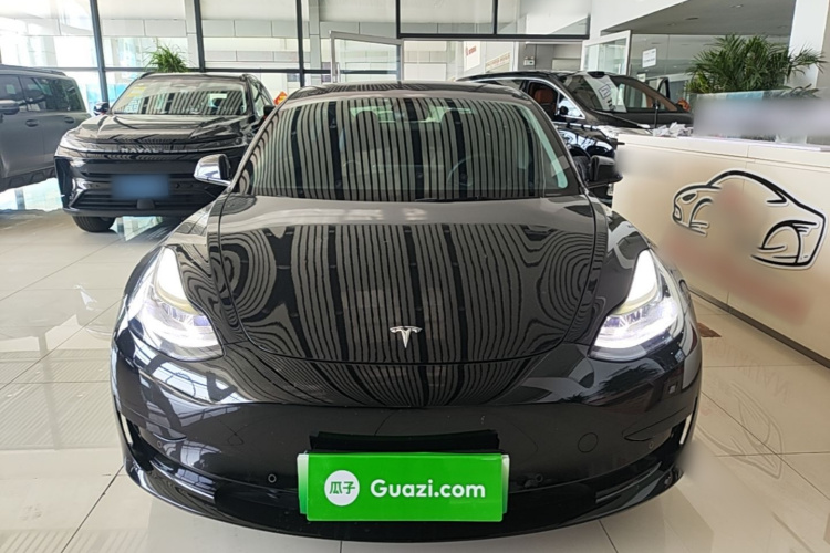 Tesla Model 3 2021 car image #3
