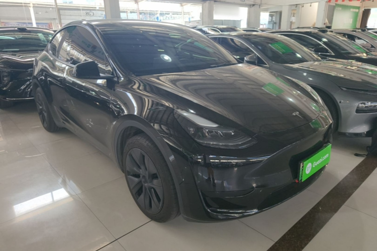 Tesla Model Y 2023 car image #4