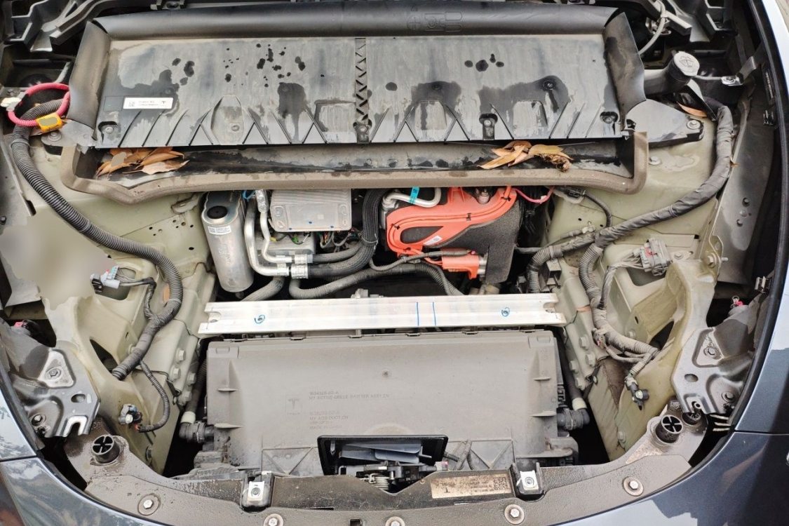 Tesla Model Y 2024 car image #10