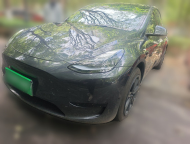 Tesla Model Y 2024 Tesla Model Y 2024 car image