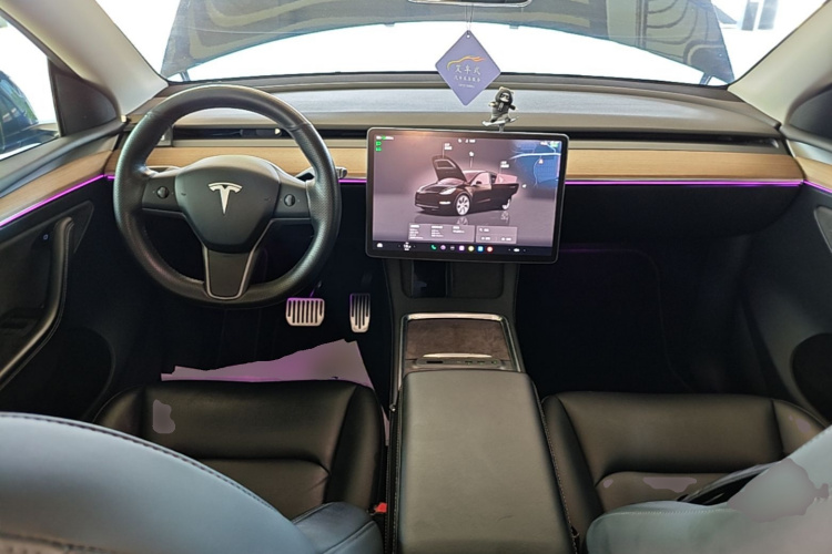 Tesla Model Y 2022 car image #10