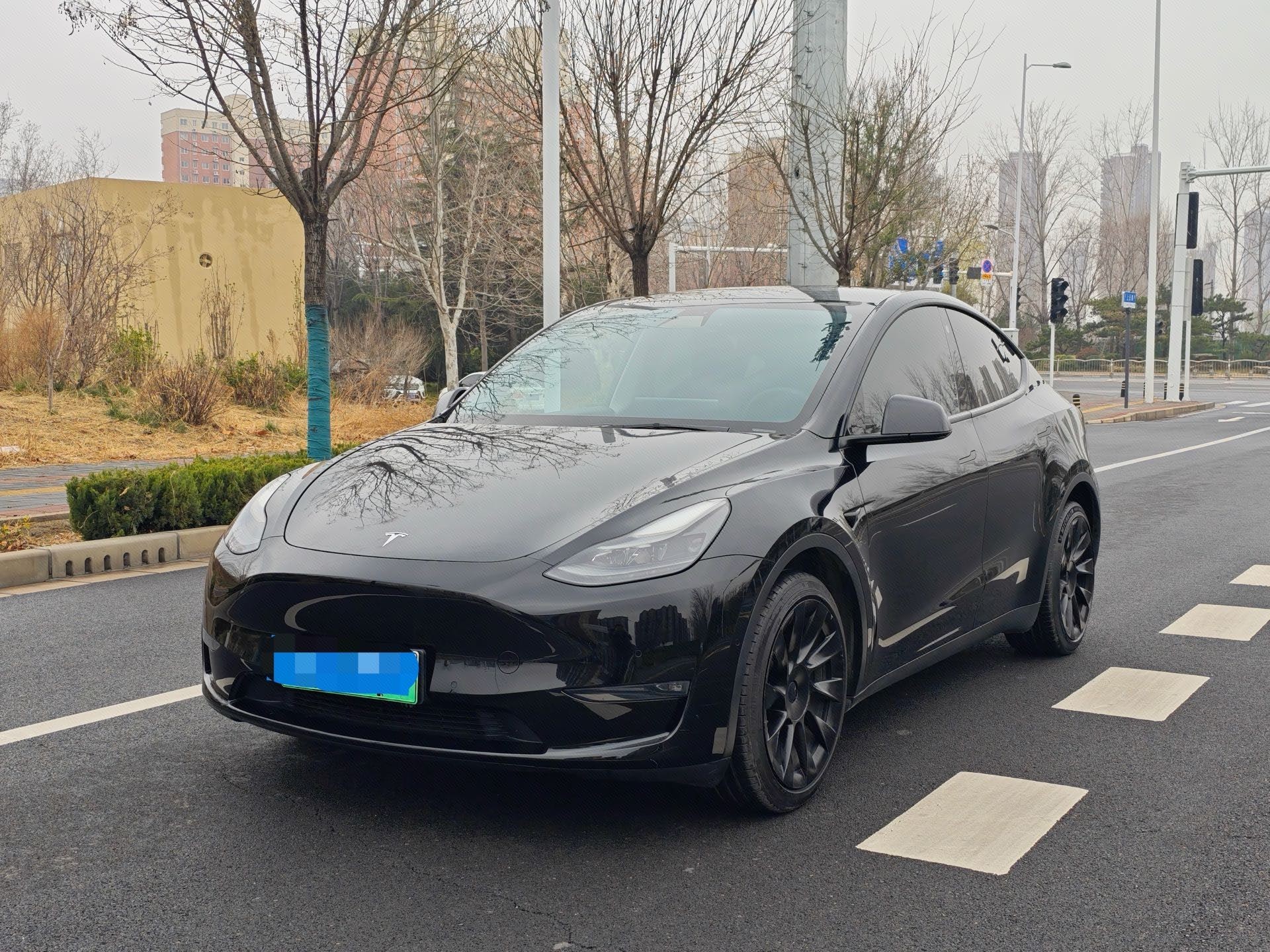Tesla Model Y 2021 Tesla Model Y 2021 imagen de coche