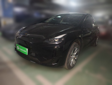Tesla Model Y 2022 Tesla Model Y 2022 car image