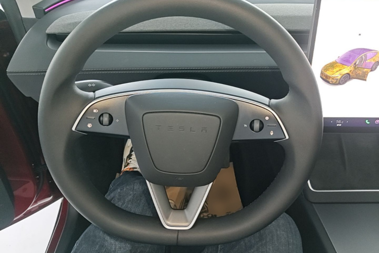 Tesla Model Y 2025 #15 Tesla Model Y 2025 car image #15