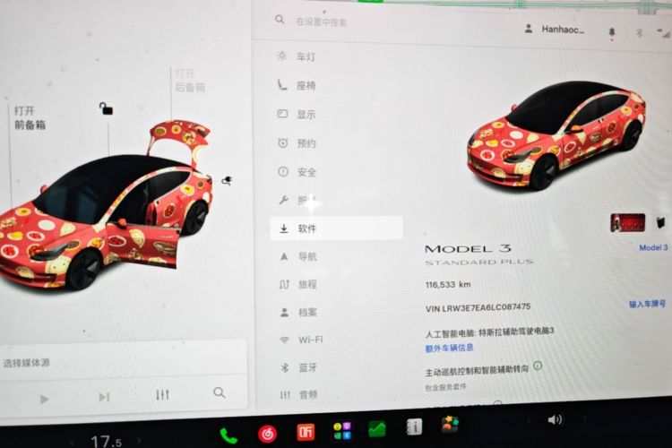 Tesla Model 3 2020 car image #13