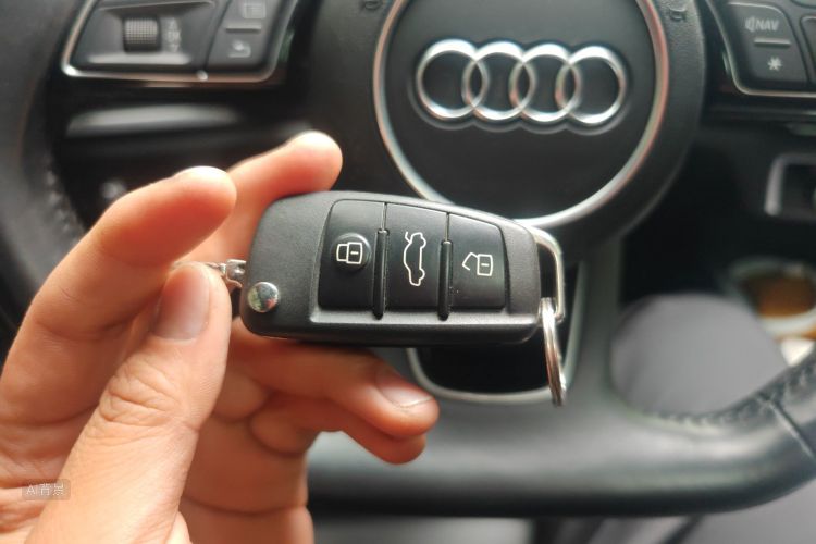 奥迪 奥迪A3 2019 汽车图片 #10