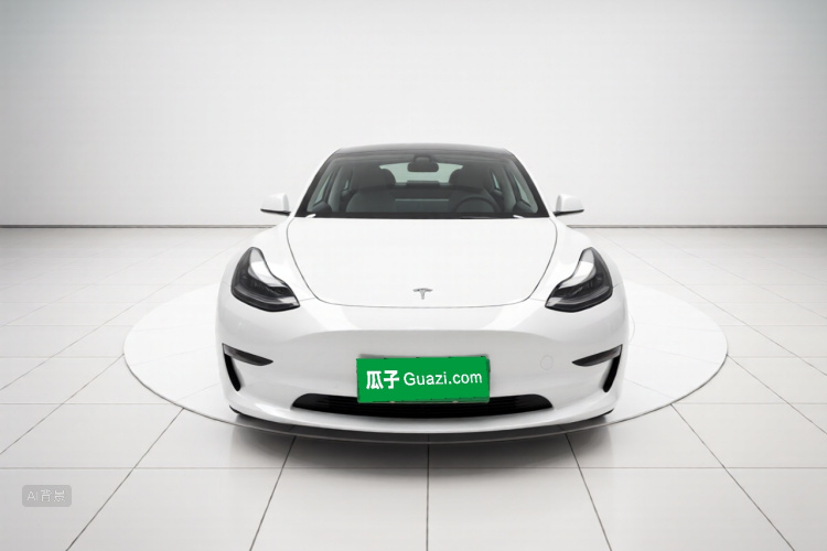 Tesla Model 3 2021 #3 Tesla Model 3 2021 car image #3