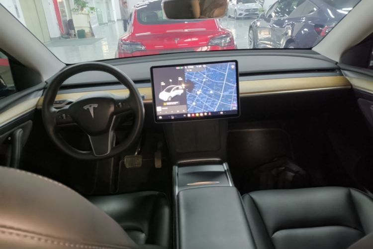 Tesla Model Y 2021 #10 Tesla Model Y 2021 car image #10