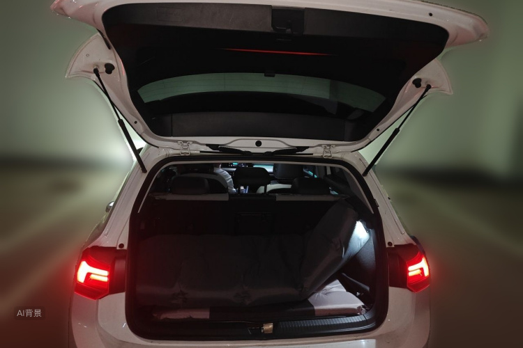 Volkswagen Golf 2022 car image #21