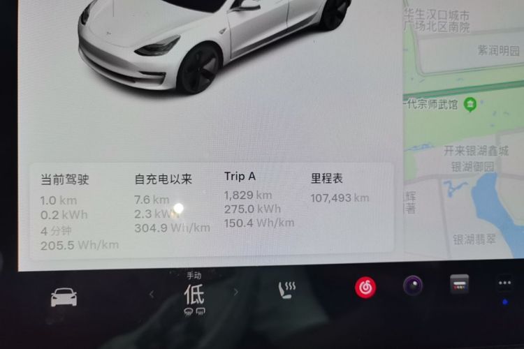Tesla Model 3 2020 immagine di auto #12