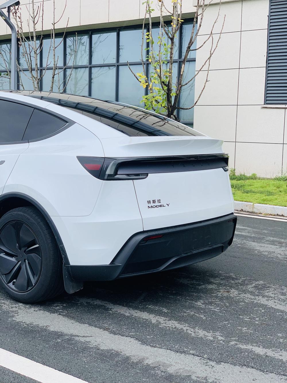Tesla Model Y 2026 #9 Tesla Model Y 2026 car image #9
