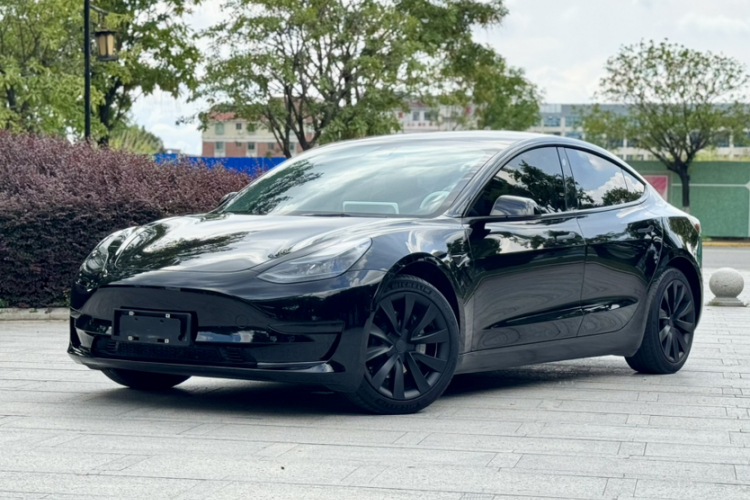 Tesla Model 3 2023 #2 Tesla Model 3 2023 car image #2