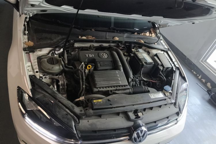 Volkswagen Golf 2019 #20 Volkswagen Golf 2019 car image #20