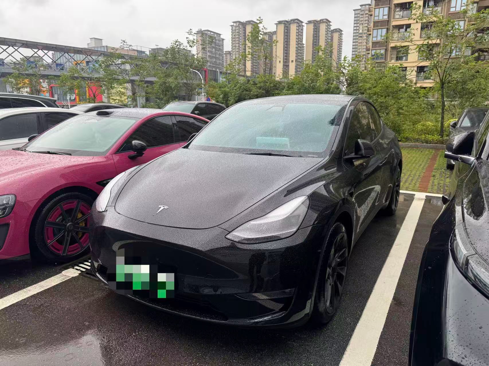 Tesla Model Y 2021 car image 