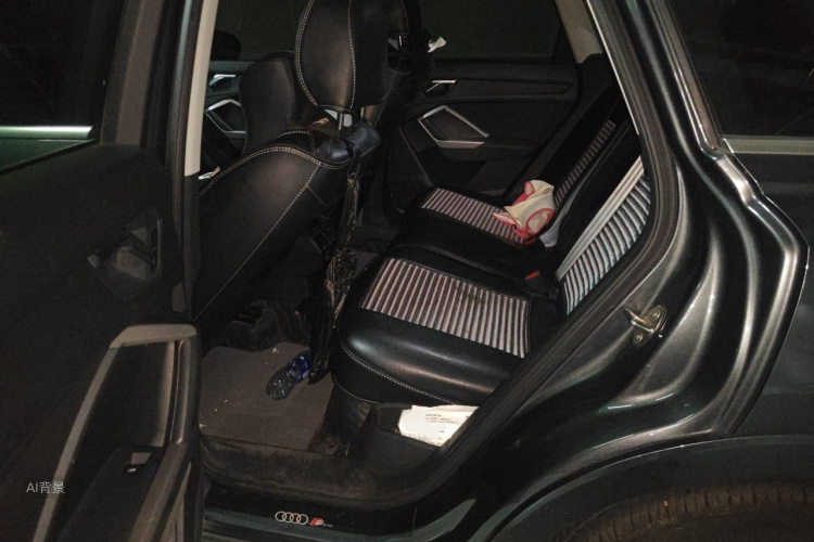 Audi Q3 2021 car image #19