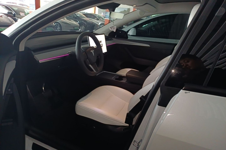 Tesla Model Y 2024 صورة سيارة #12