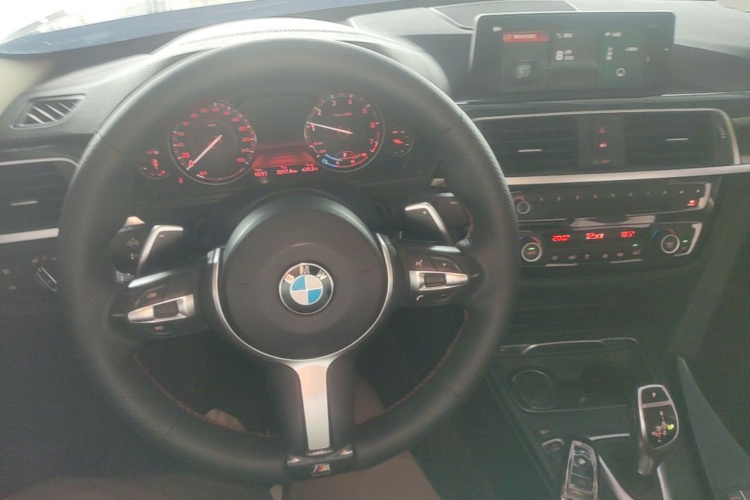 BMW 3 Series 2018 car image #10