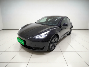 Tesla Model 3 2023 Tesla Model 3 2023 car image