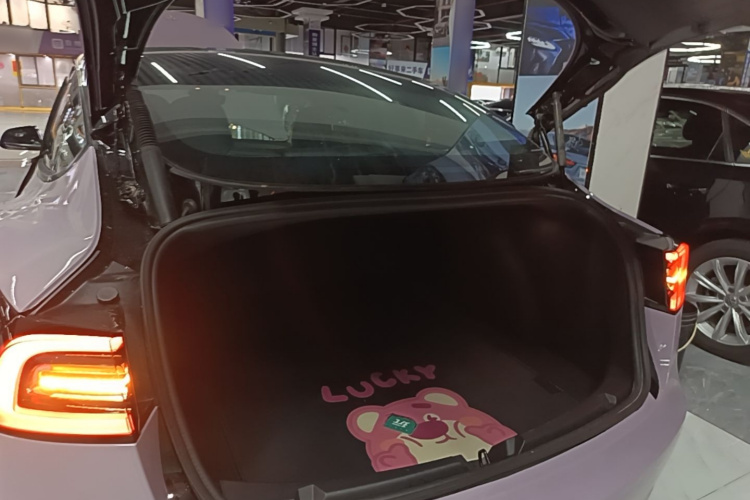 Tesla Model 3 2022 #19 Tesla Model 3 2022 car image #19