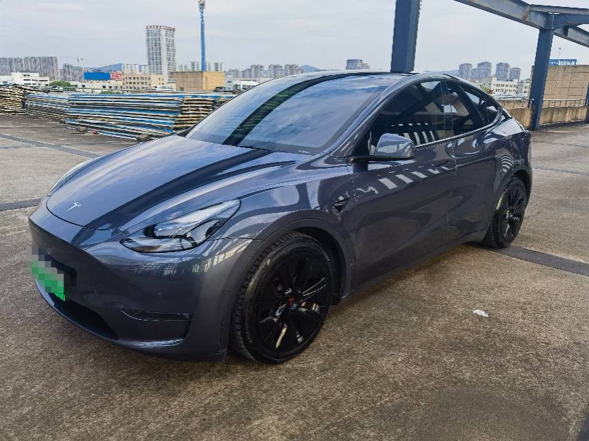 Tesla Model Y 2021 car image 