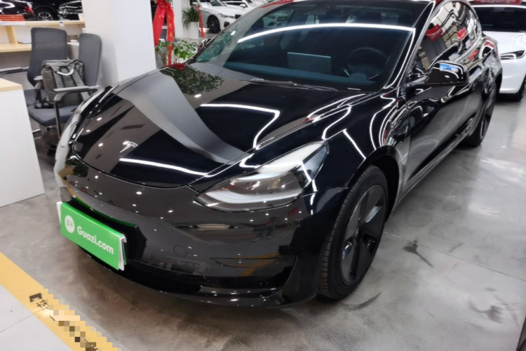 Tesla Model 3 2021 immagine di auto #2